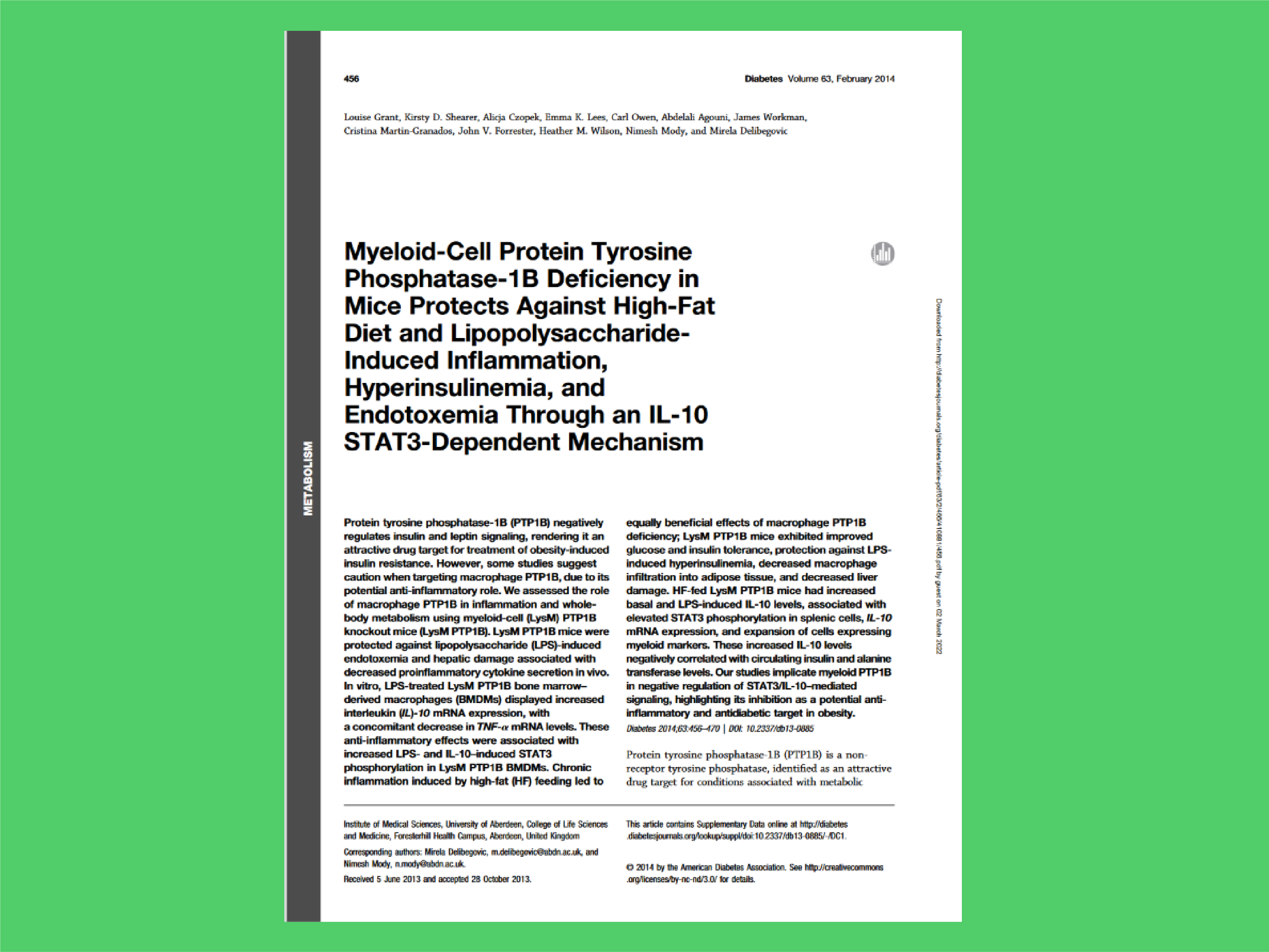 Myeloid-cell protein tyrosine phosphatase-1B deficiency