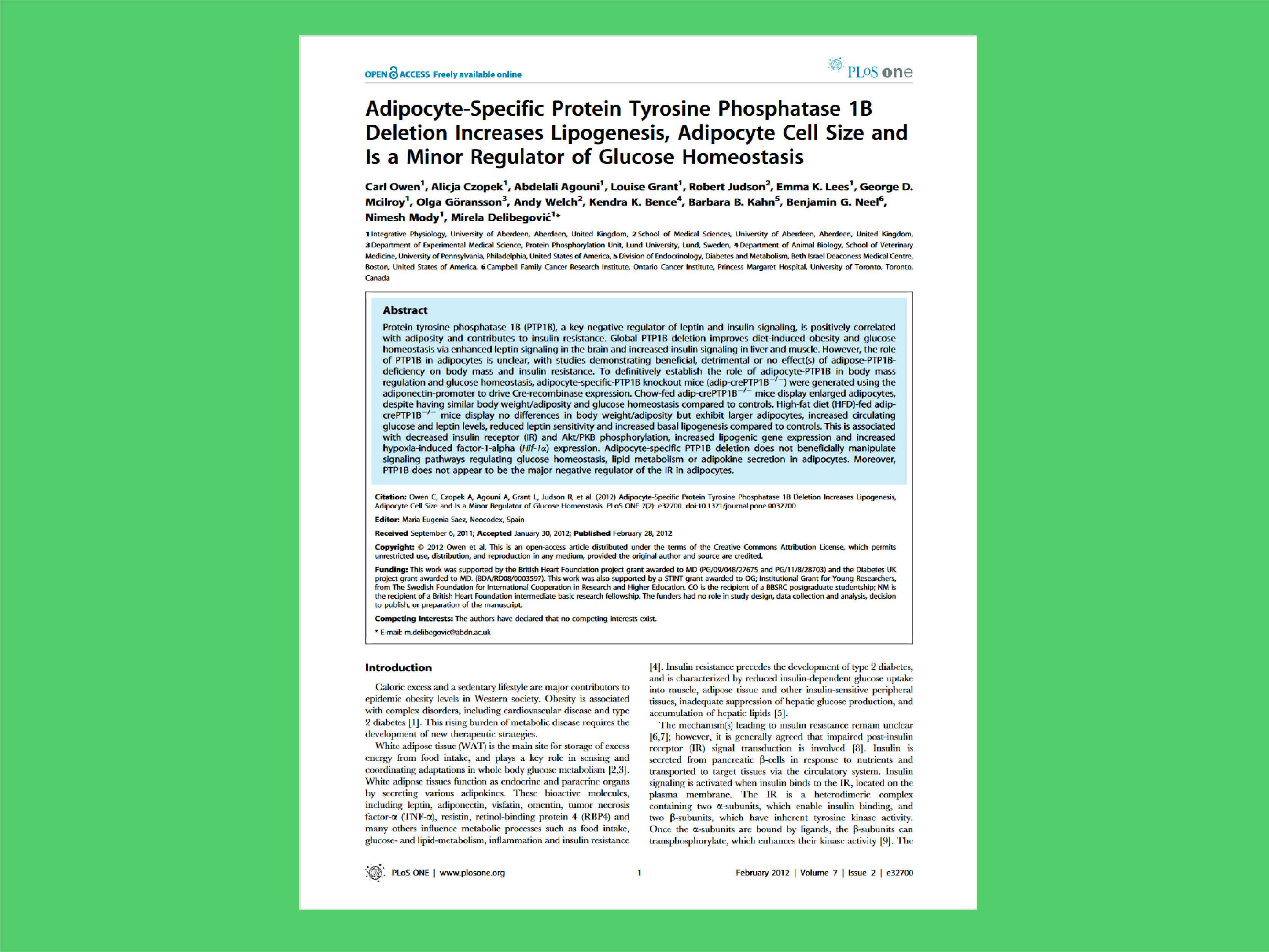 Adipocyte-Specific Protein Tyrosine Phosphatase 1B Deletion Increases Lipogenesis, Adipocyte Cell Size and Is a Minor Regulator of Glucose Homeostasis